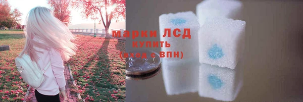 стаф Зеленокумск