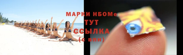 стаф Зеленокумск