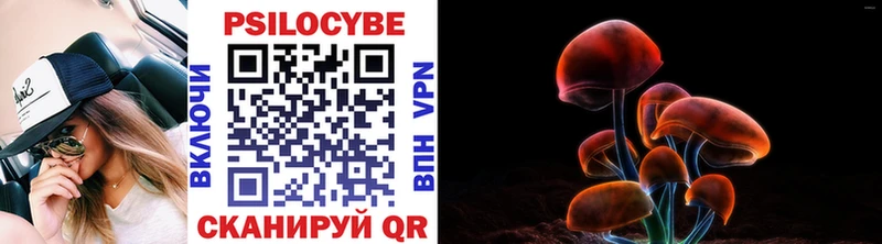 Псилоцибиновые грибы Psilocybine cubensis  Красково 